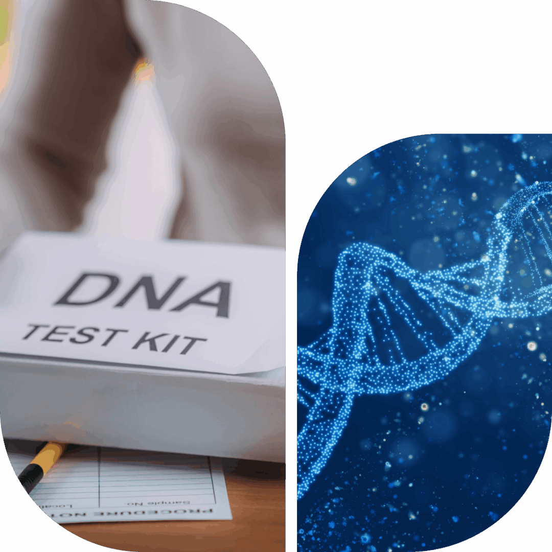 DNA test kit and digital DNA strand.